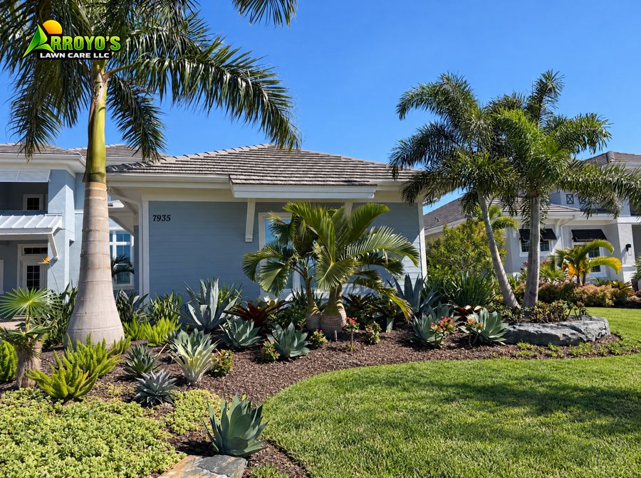Agave and palm planting bed