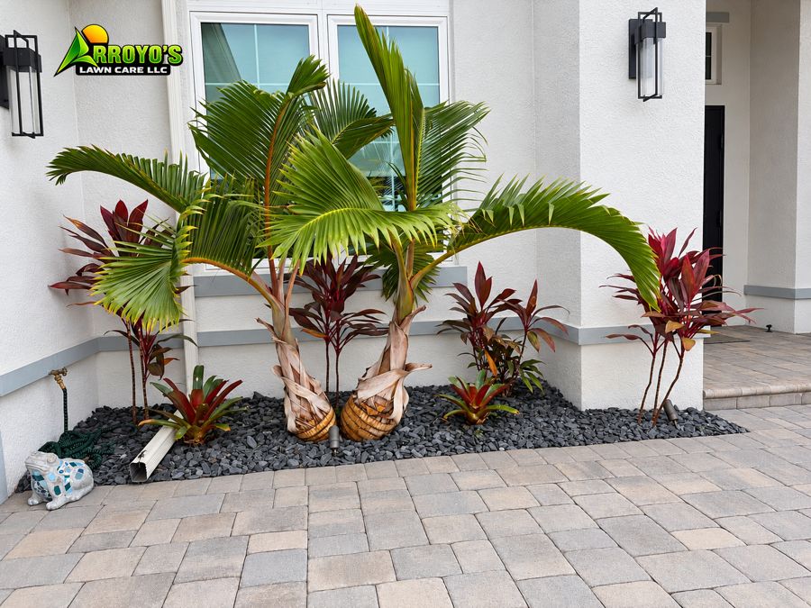 Palms and ti plants at an entry