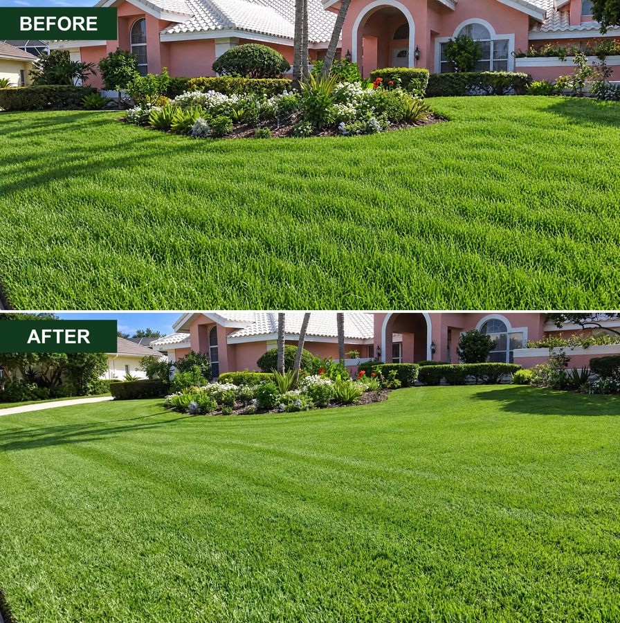 Lawn & Property Maintenance by Arroyo’s Lawn Care